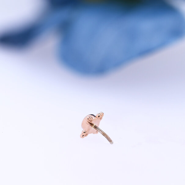 BVLA Mini Kandy with Tanzanite