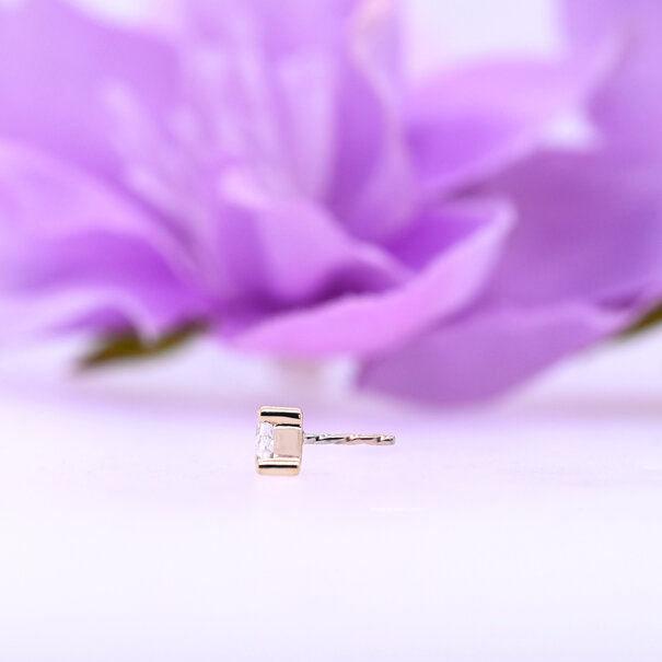 Atria with White Cubic Zirconia