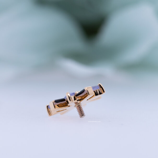 Akira with Onyx | Sandblasted Tanzanite | Tanzanite