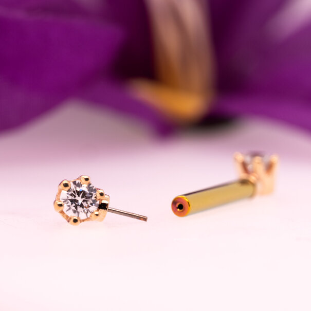 BVLA Front Facing Round 6 Prong with White Cubic Zirconia