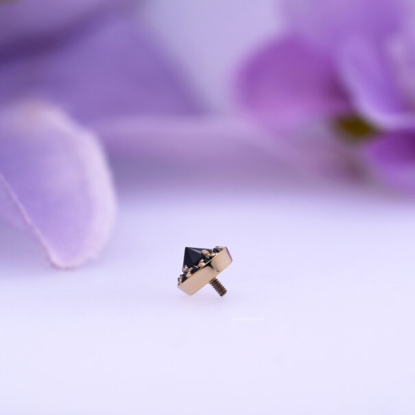 BVLA Altura wtih Reverse Set Black Diamond