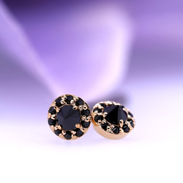 BVLA Altura wtih Reverse Set Black Diamond