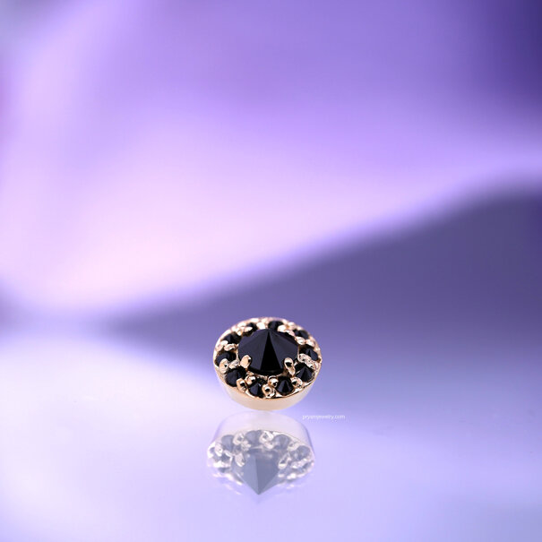 BVLA Altura wtih Reverse Set Black Diamond