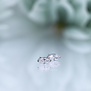 Marquise V-Prong with White Cubic Zirconia