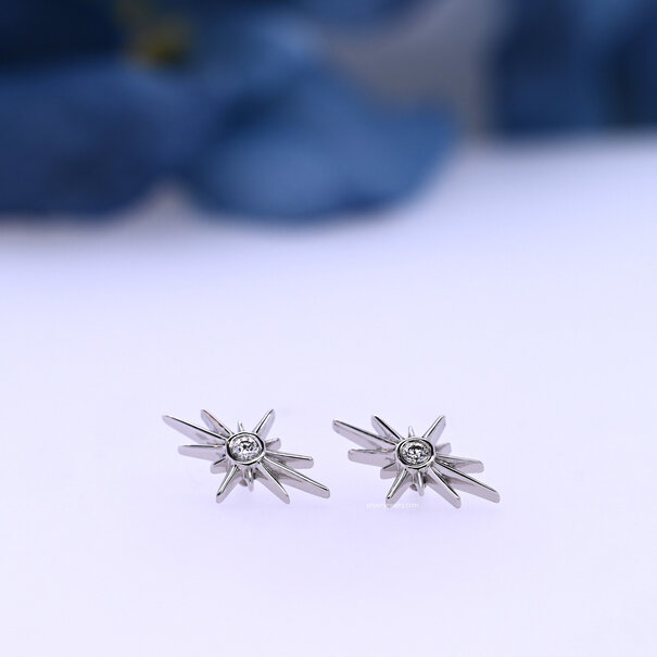 BVLA North Star with Diamond