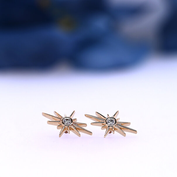 BVLA North Star with Diamond