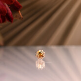 Dandy with Calico Montana Sapphire