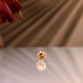 Dandy with Calico Montana Sapphire