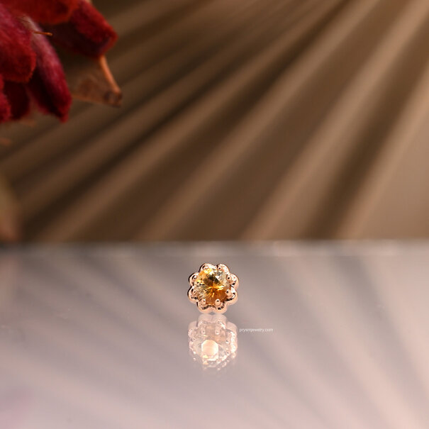 Local Natives Dandy with Calico Montana Sapphire