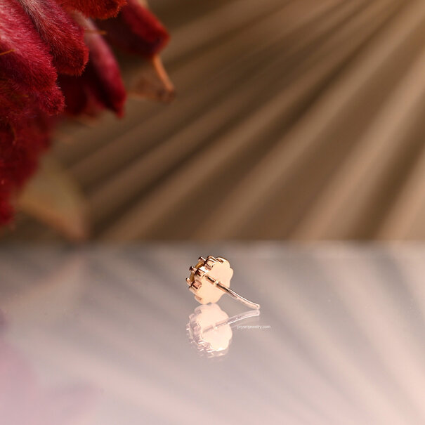 Local Natives Dandy with Calico Montana Sapphire