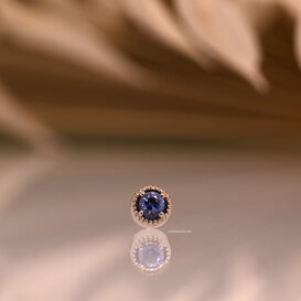 Big Milo with Yogo Montana Sapphire