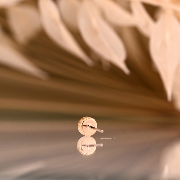 Local Natives Milo with Calico Montana Sapphire