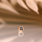 Milo with Calico Montana Sapphire