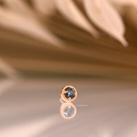 Milo with Calico Montana Sapphire