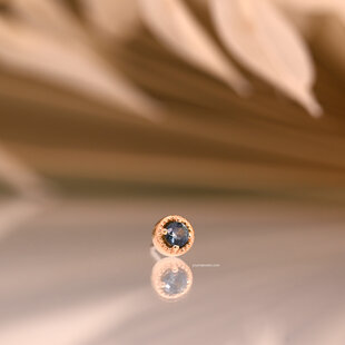 Milo with Calico Montana Sapphire