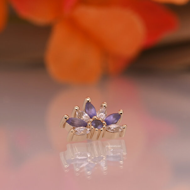 BVLA Tiny Starling with Sandblasted Tanzanite| White Cubic Zirconia