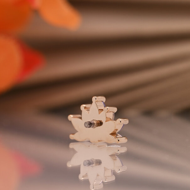 BVLA Tiny Starling with Sandblasted Tanzanite| White Cubic Zirconia