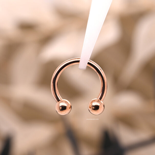 BVLA Circular Barbell