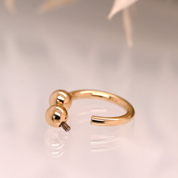 BVLA Circular Barbell