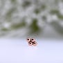 Quad Bead Cluster