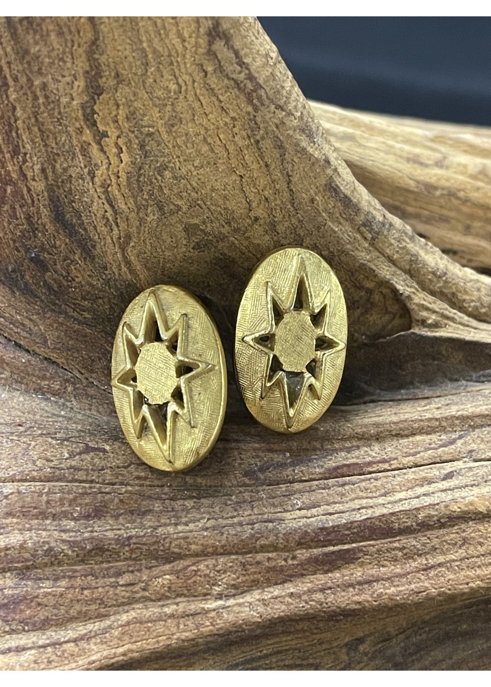 AC01-4196-19 Gold post earrings