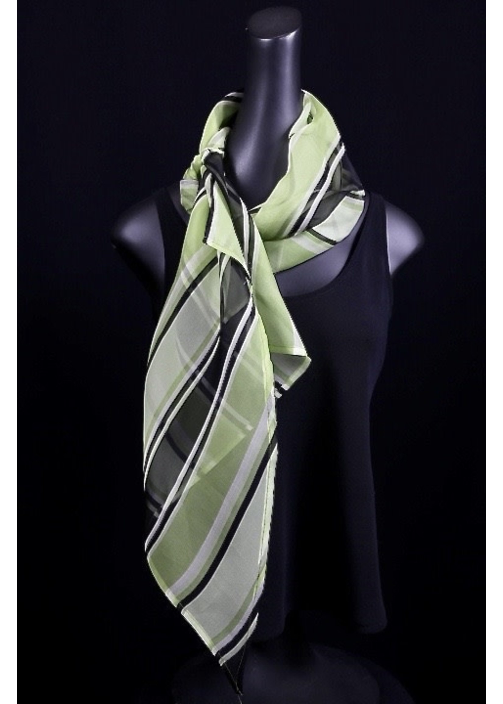 AC Scarf-Green organza scarf w/loop