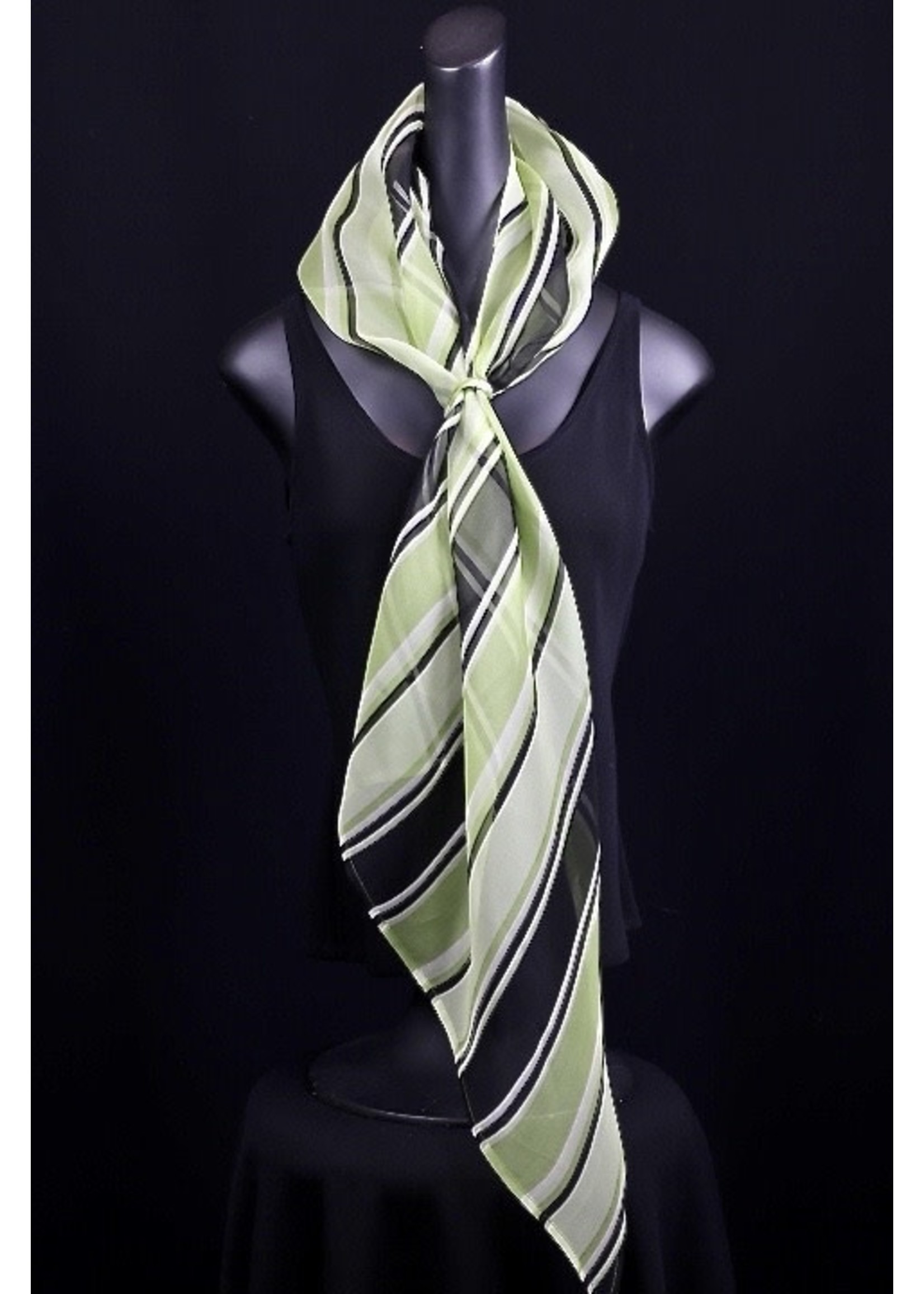 AC Scarf-Green organza scarf w/loop