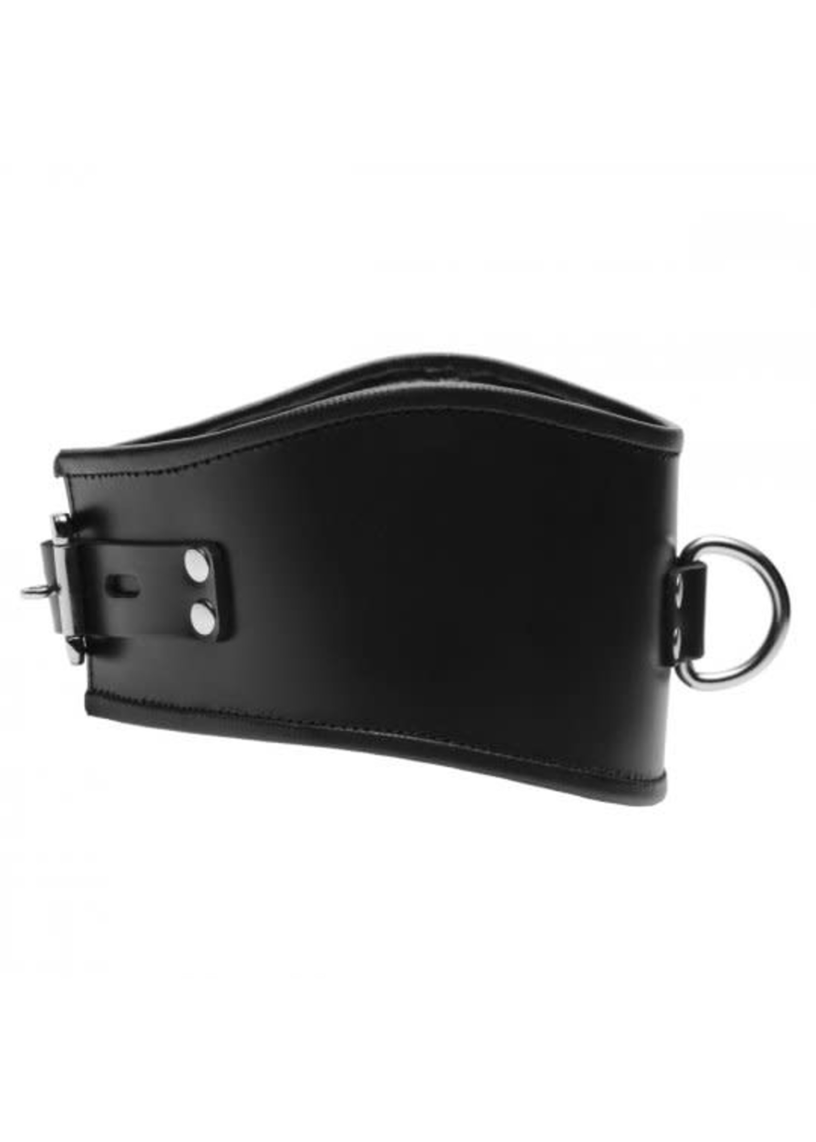 Clearance Padded Leather Locking Posture Collar