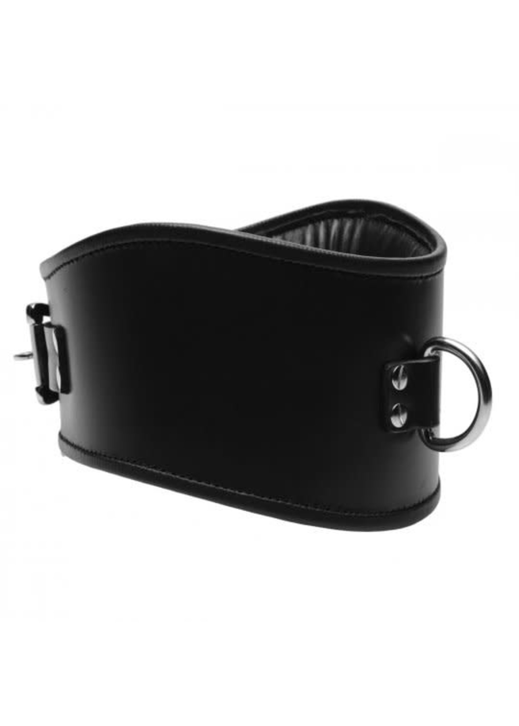 Clearance Padded Leather Locking Posture Collar