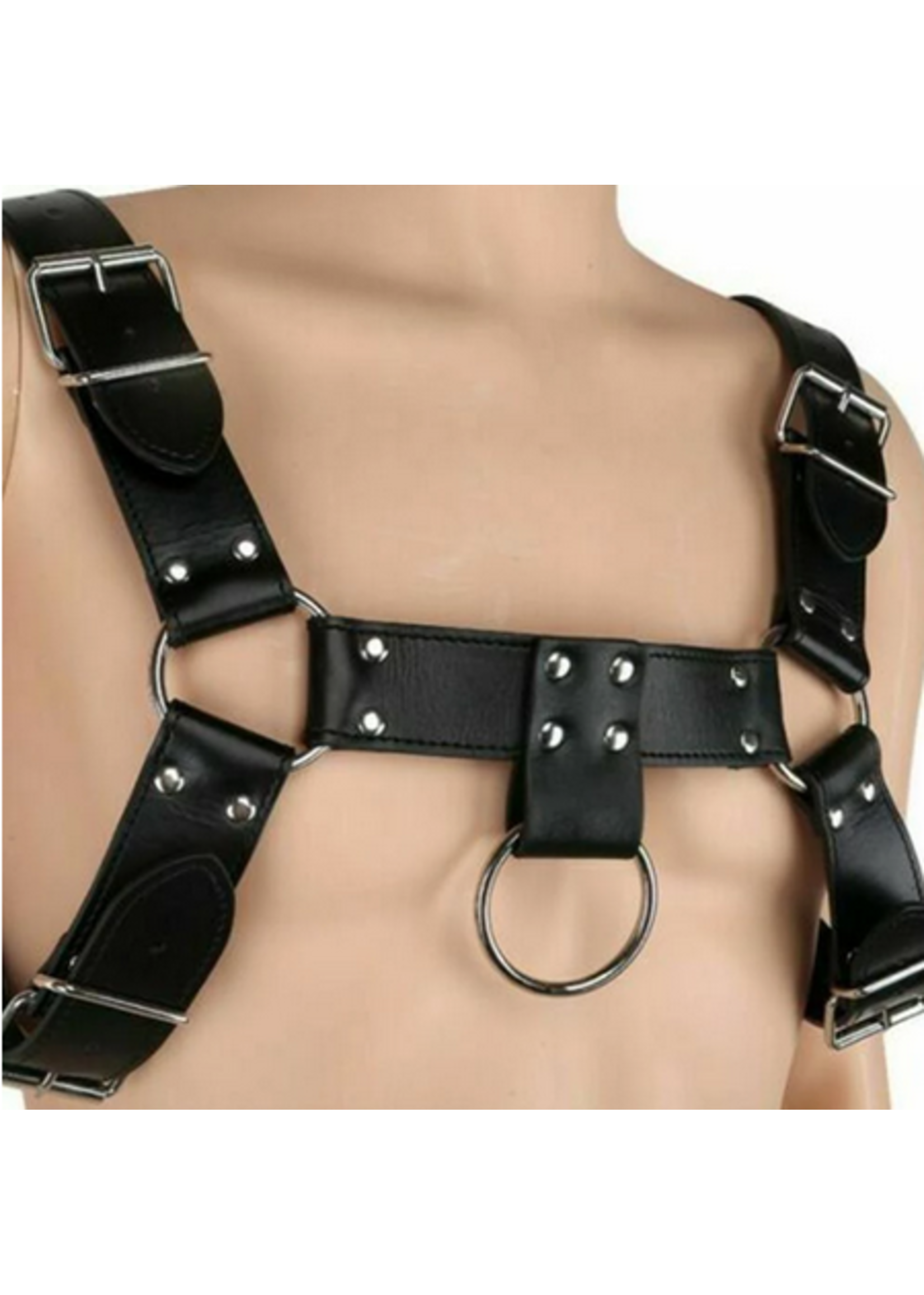 Value English Bull Dog Harness