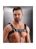 Strict Leather Leather English Bull Dog Harness