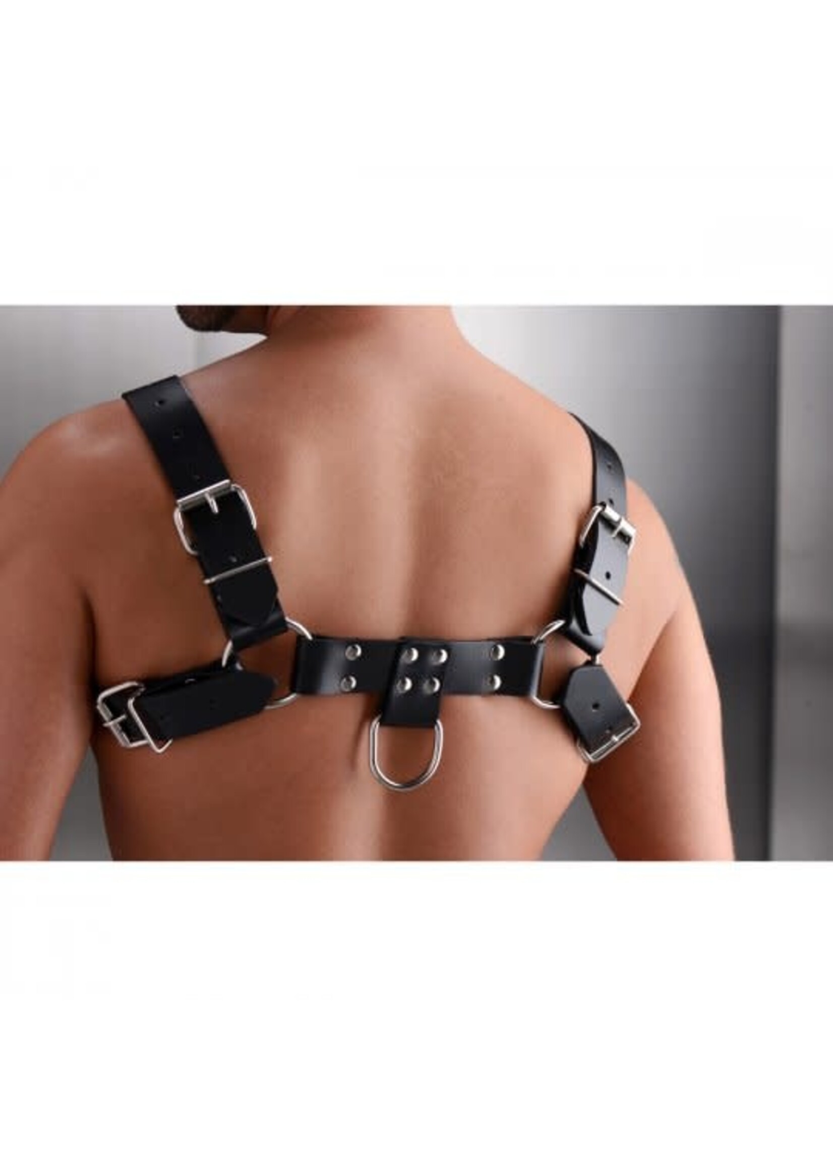 Strict Leather Leather English Bull Dog Harness