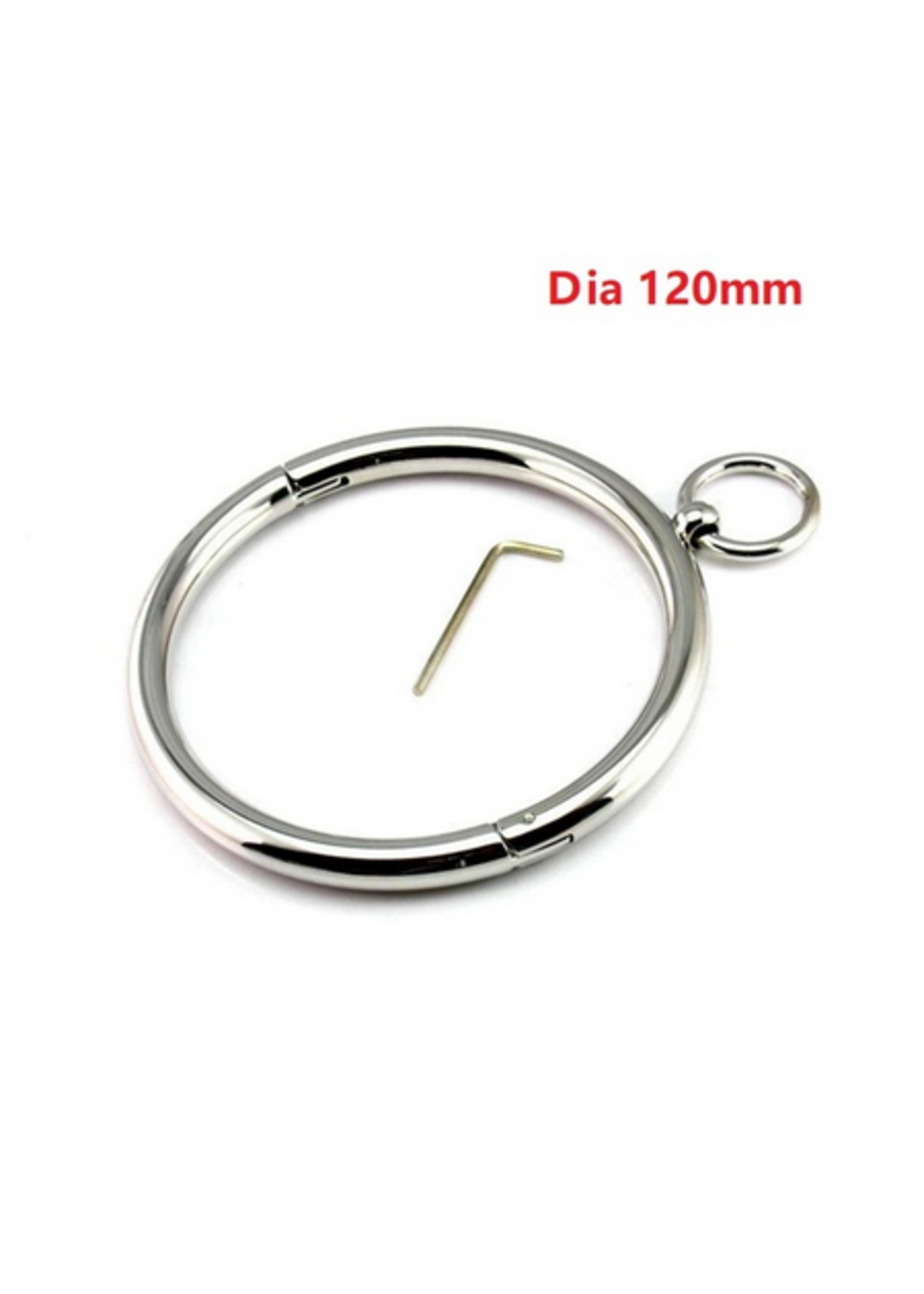 Clearance Solid Metal Collar with Leash Ring