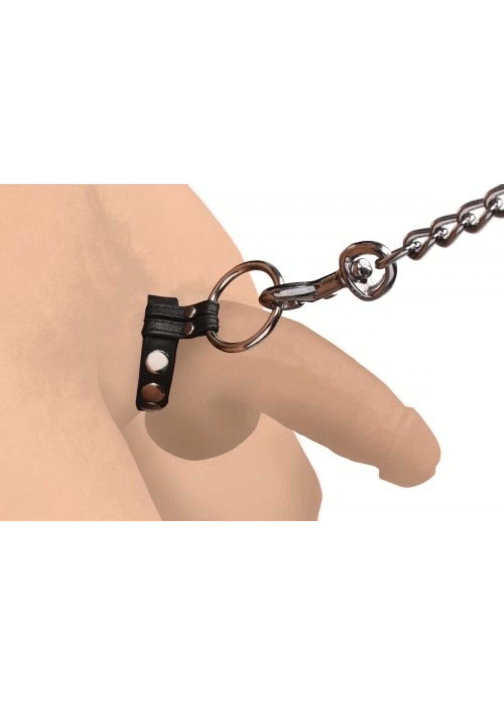 Strict Leather Steel Cock and Ball Ring