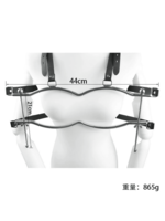 Smoosh Breast Clamps with Anal Hook Stainless Steel
