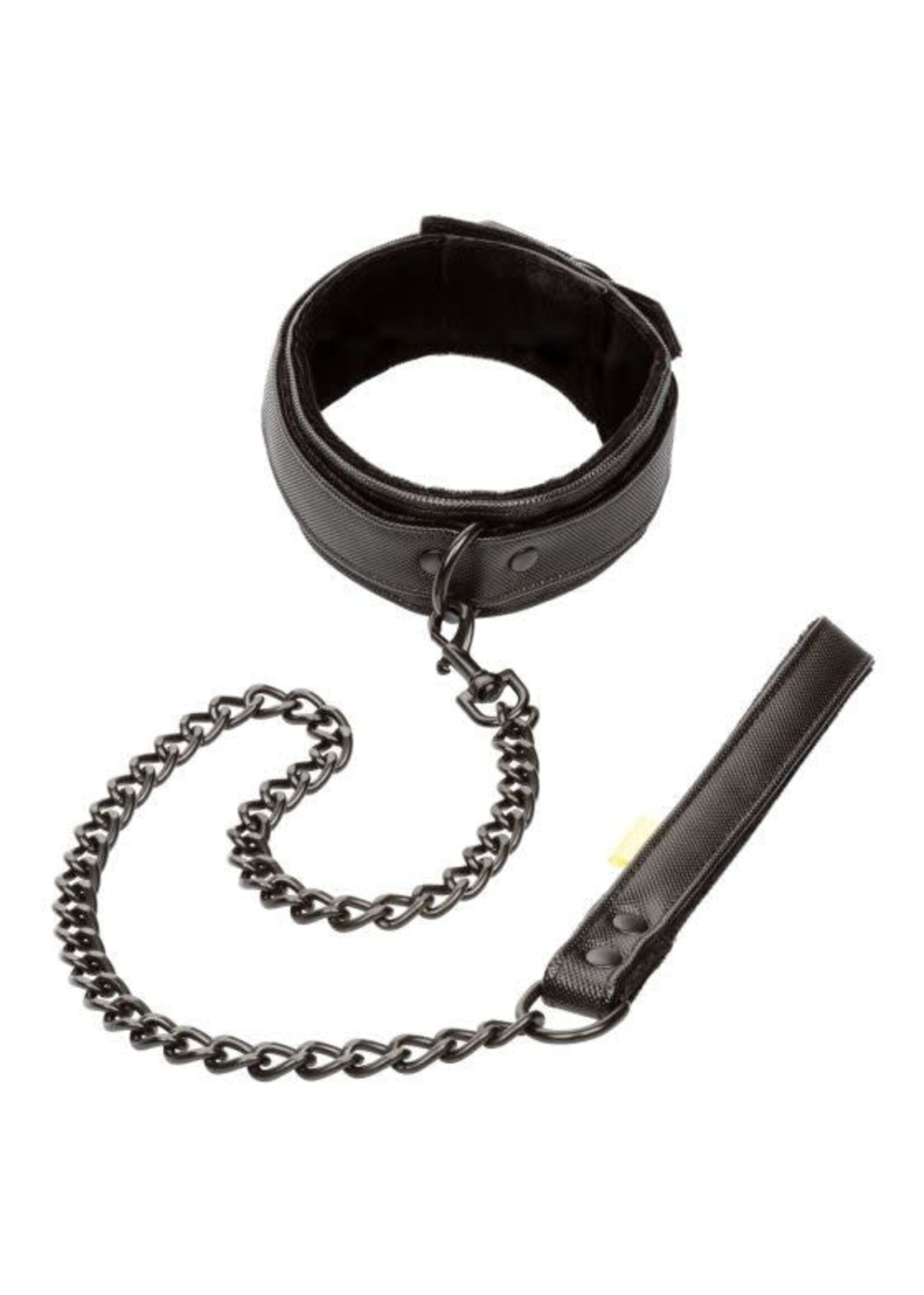 Calexotics Boundless Collar & Leash