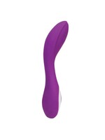 Pure Love G-Spot Vibrator – Purple