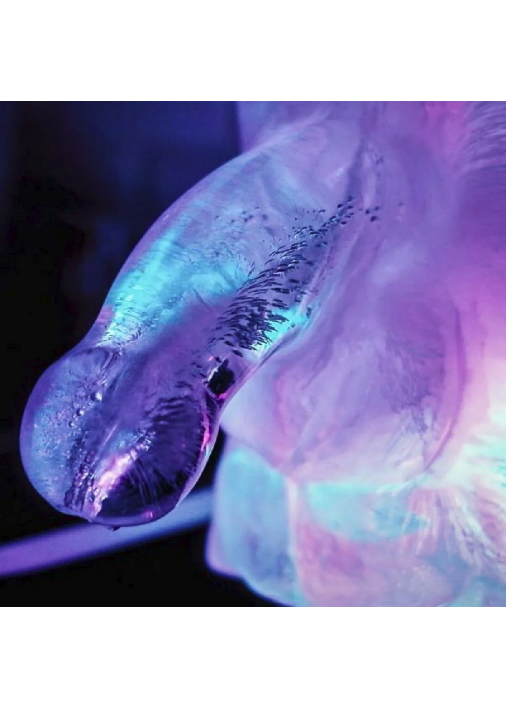 Huge Penis Ice Luge - party drinking!