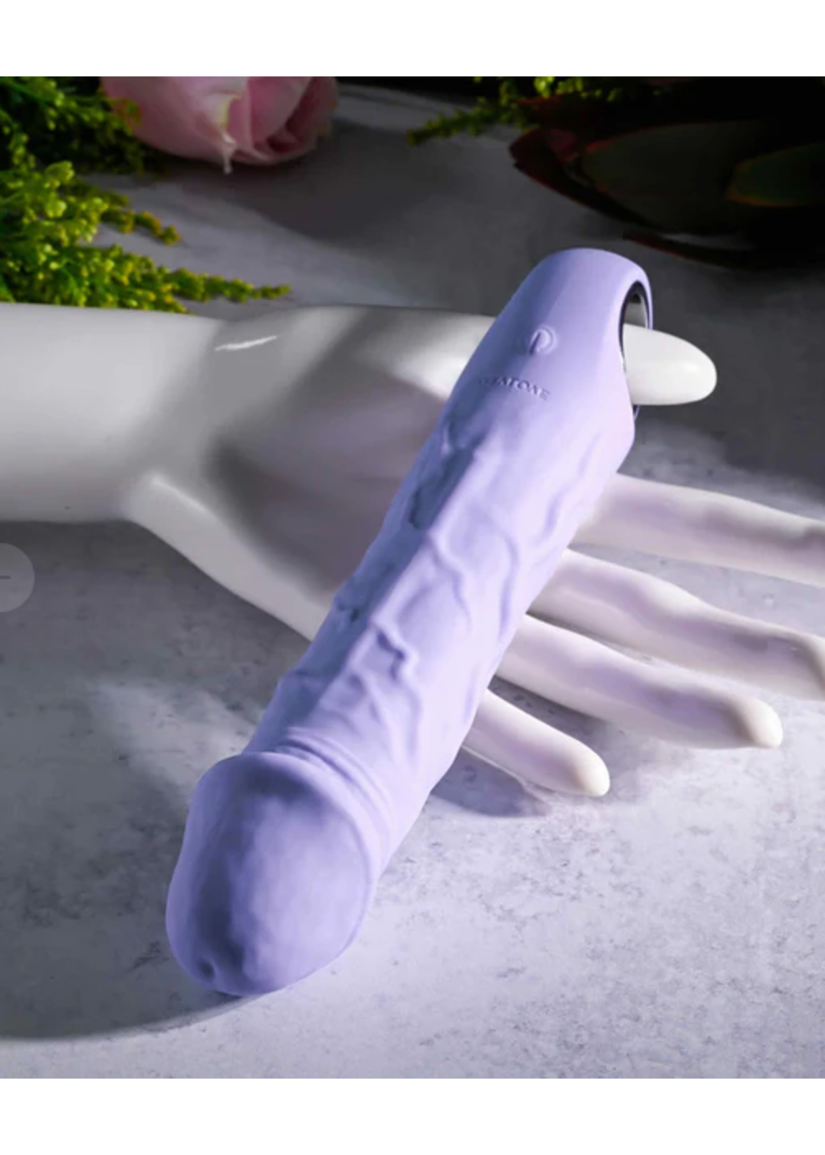 Evolved Purple Fantasy