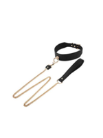 Clearance Leash and Collar