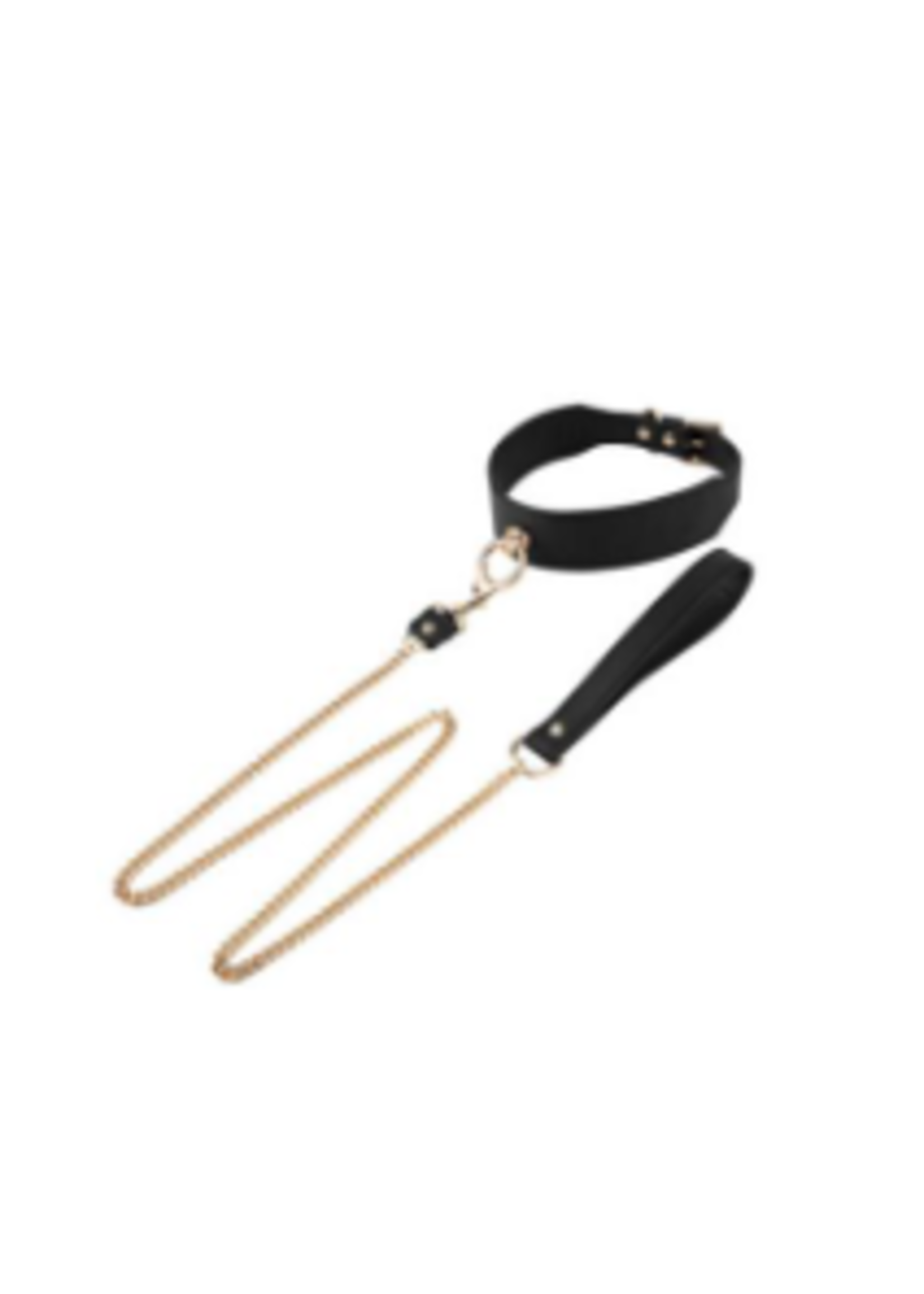 Clearance Leash and Collar