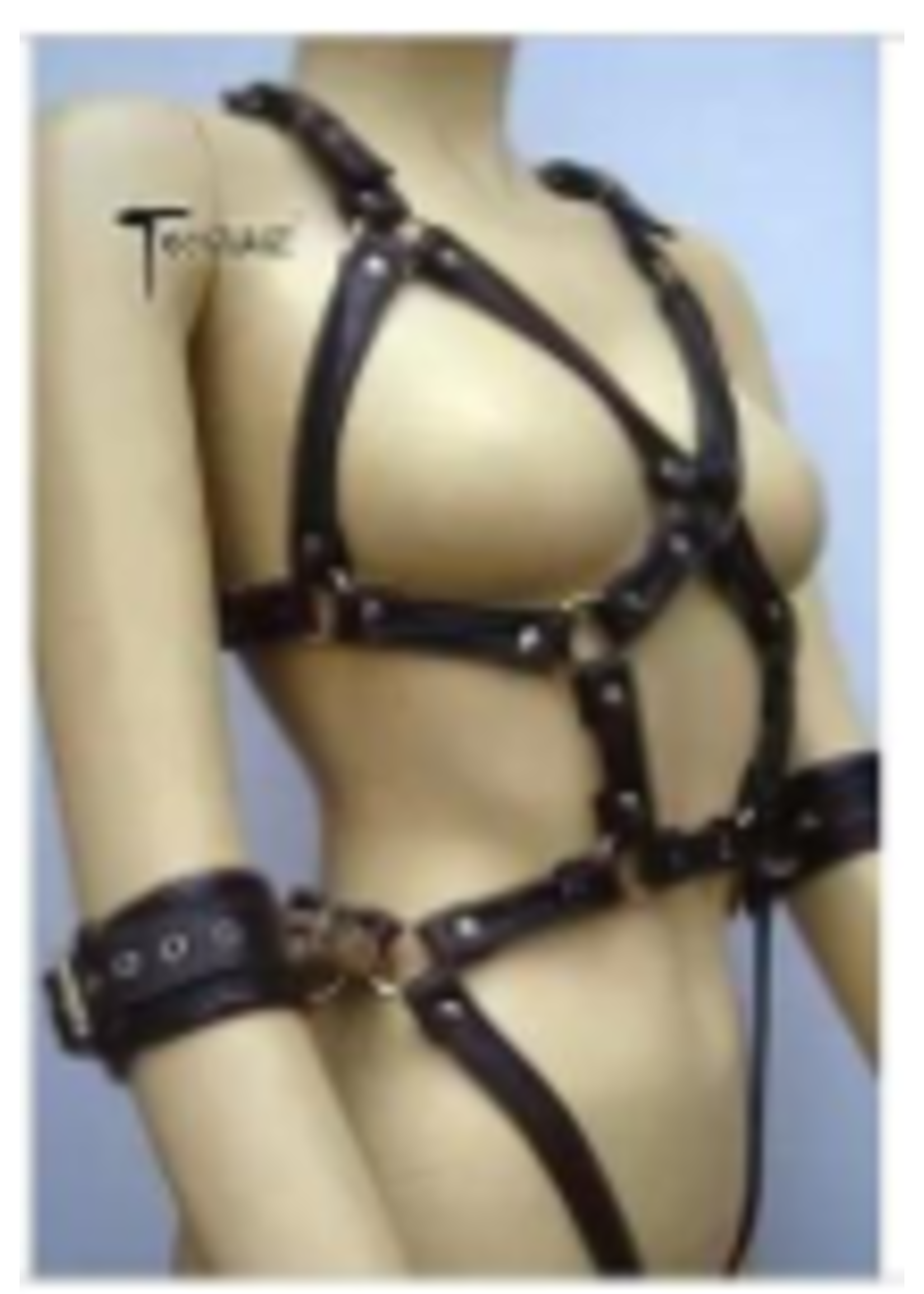 Clearance Body Harness w\ Cuffs