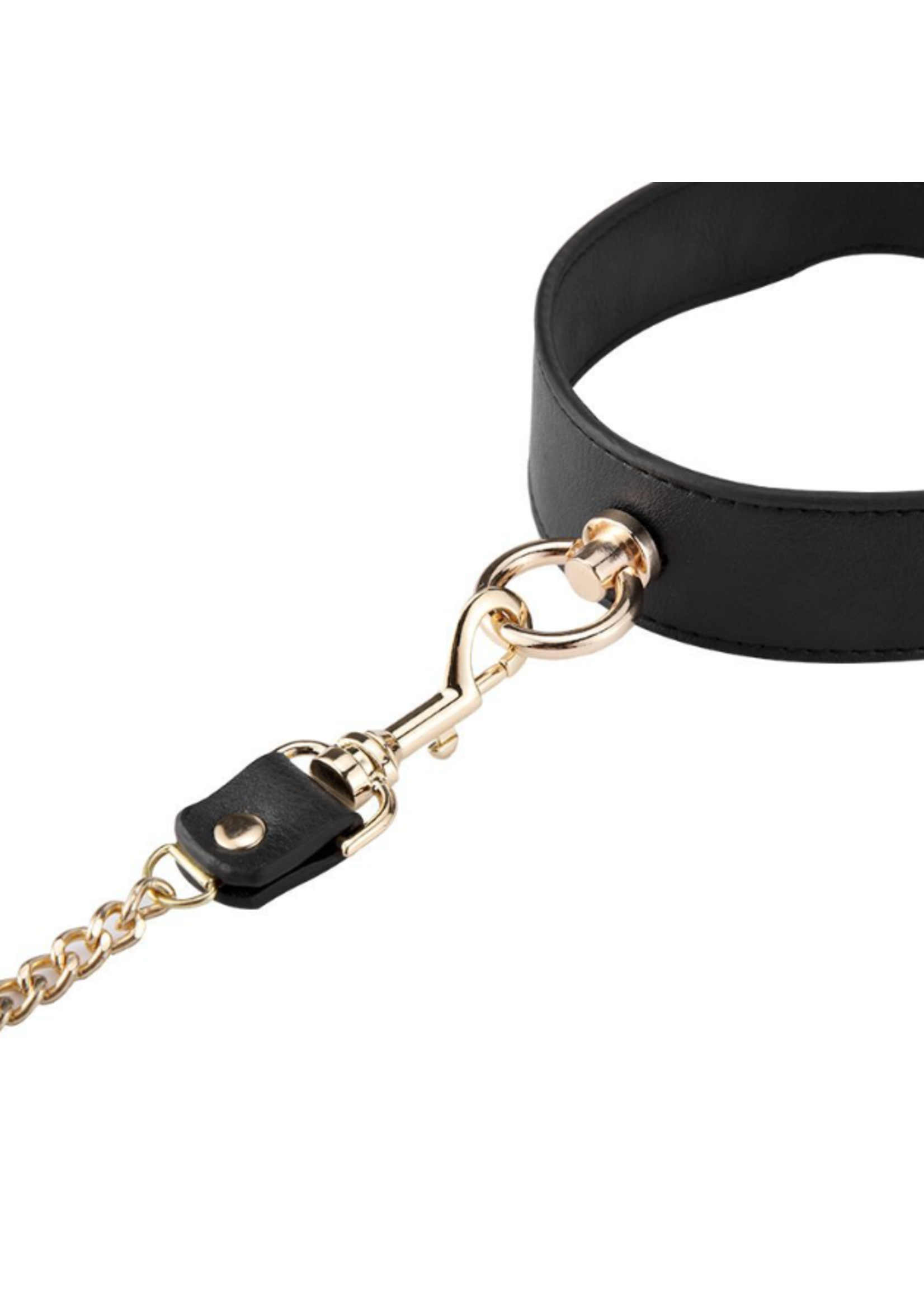 Clearance Leash and Collar
