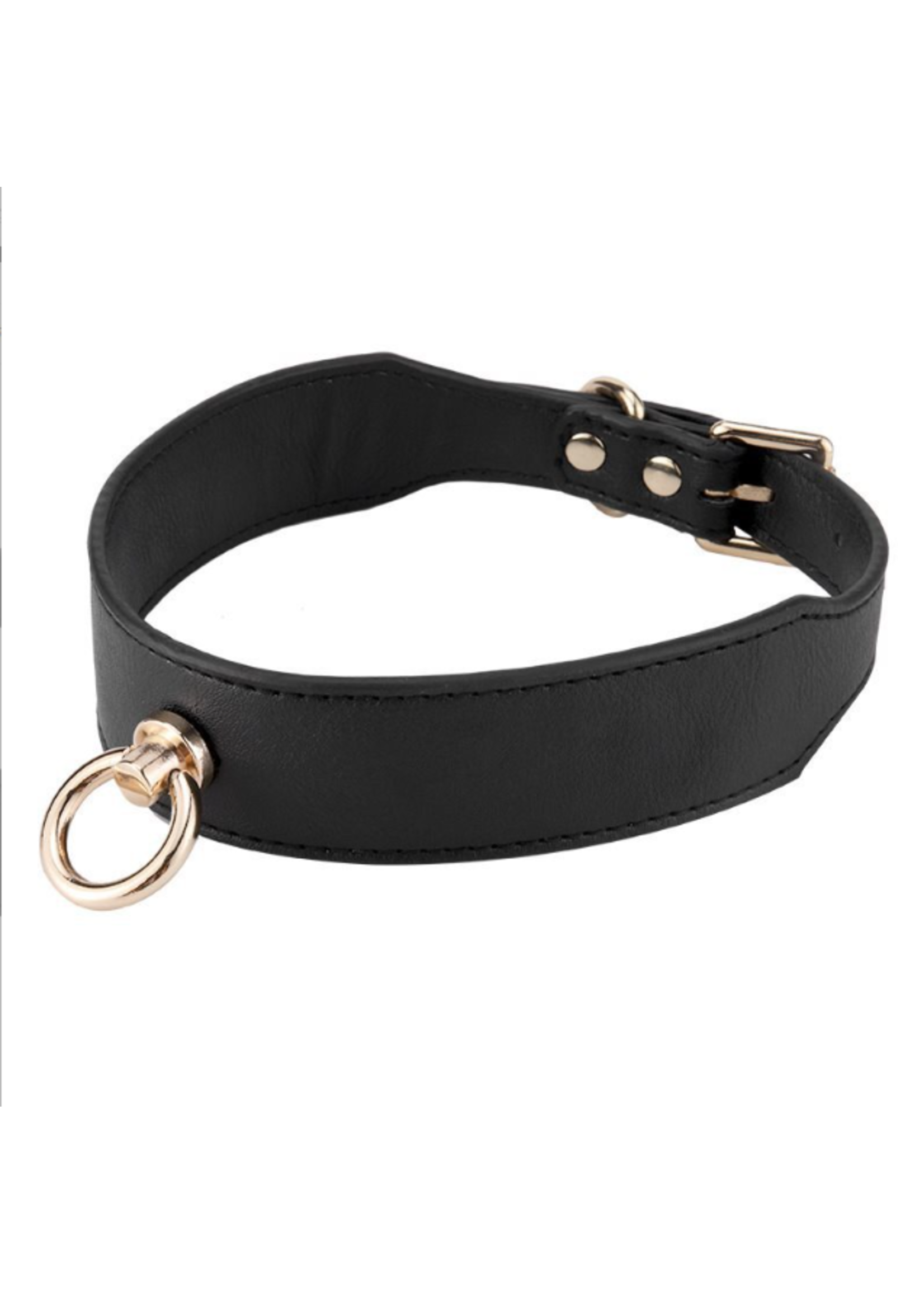 Smoosh Leash and Collar