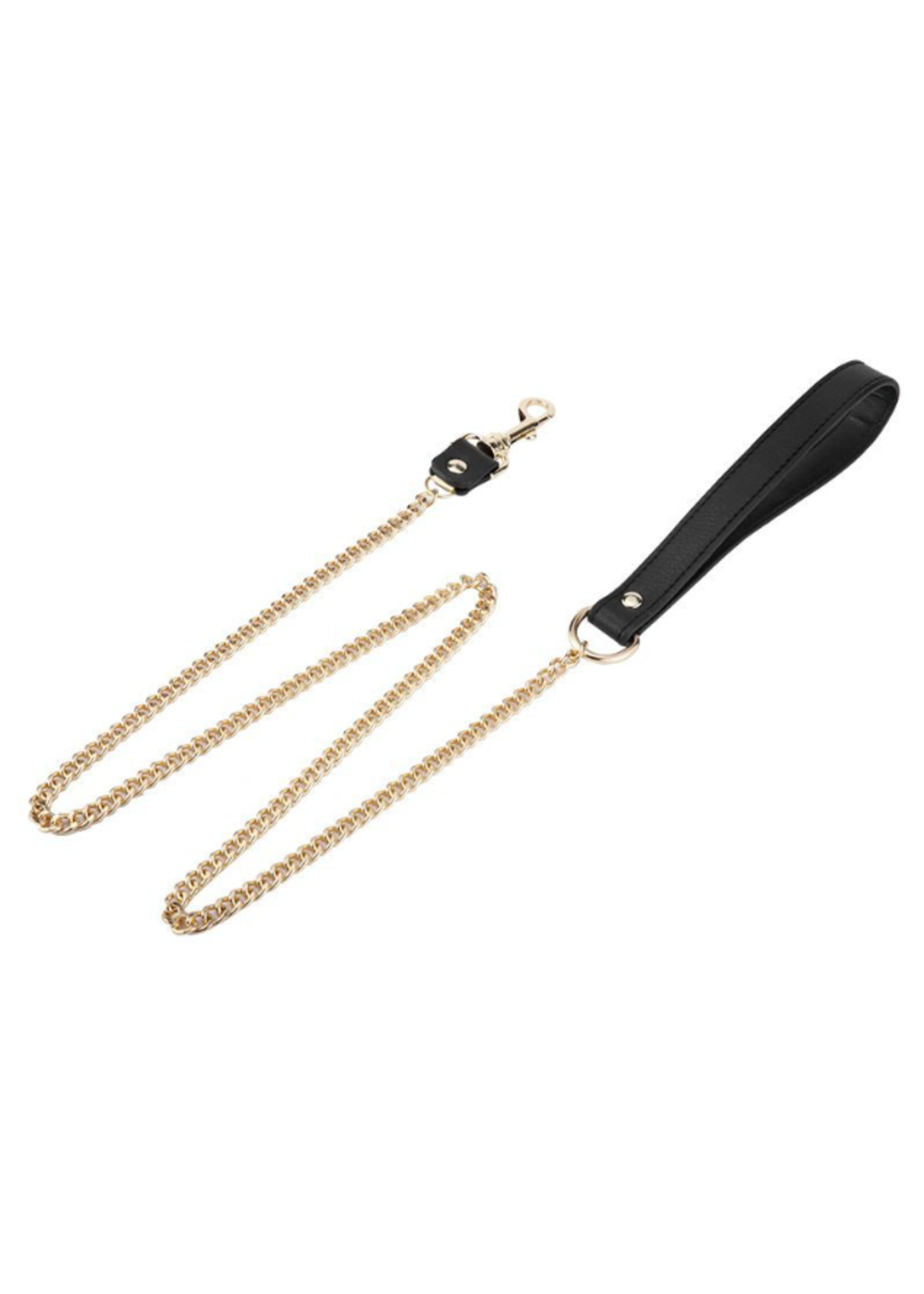 Clearance Leash and Collar