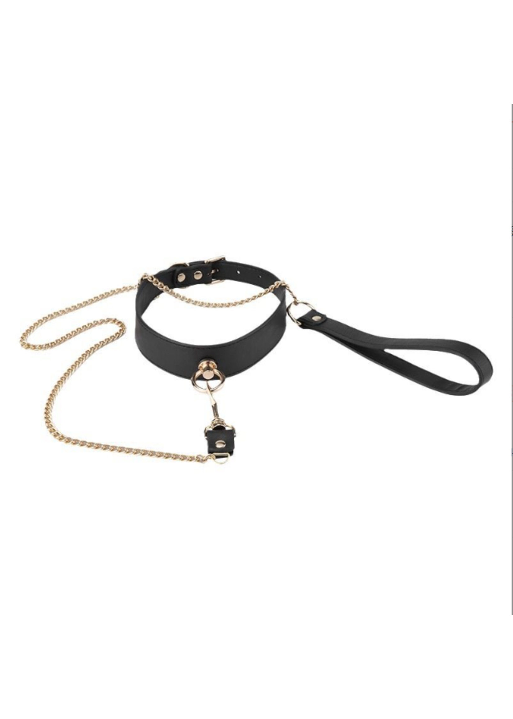 Smoosh Leash and Collar