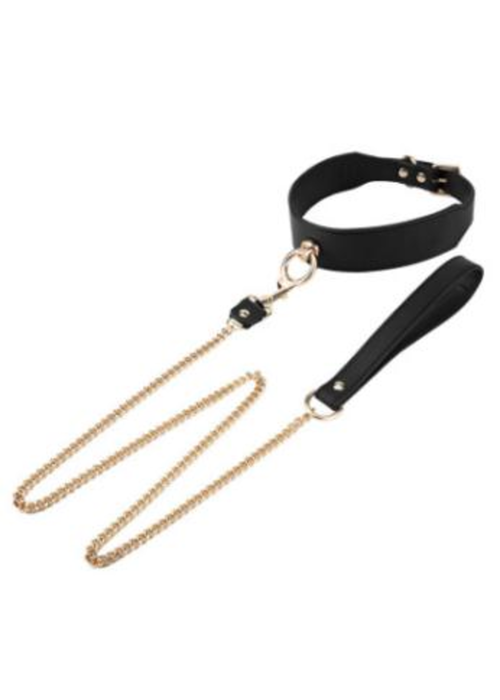 Smoosh Leash and Collar