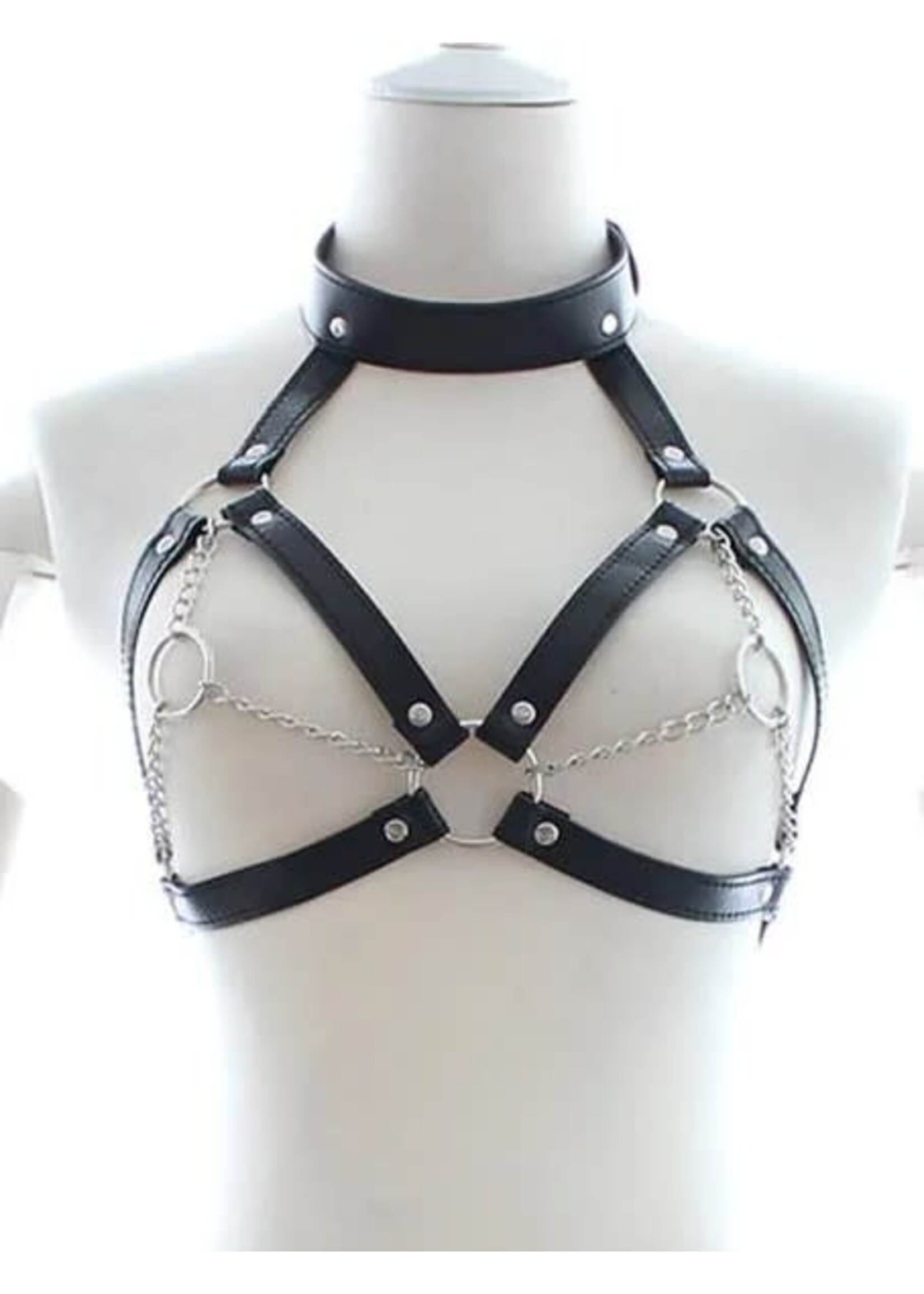 Smoosh Chest Harness w\ Nipple Chain