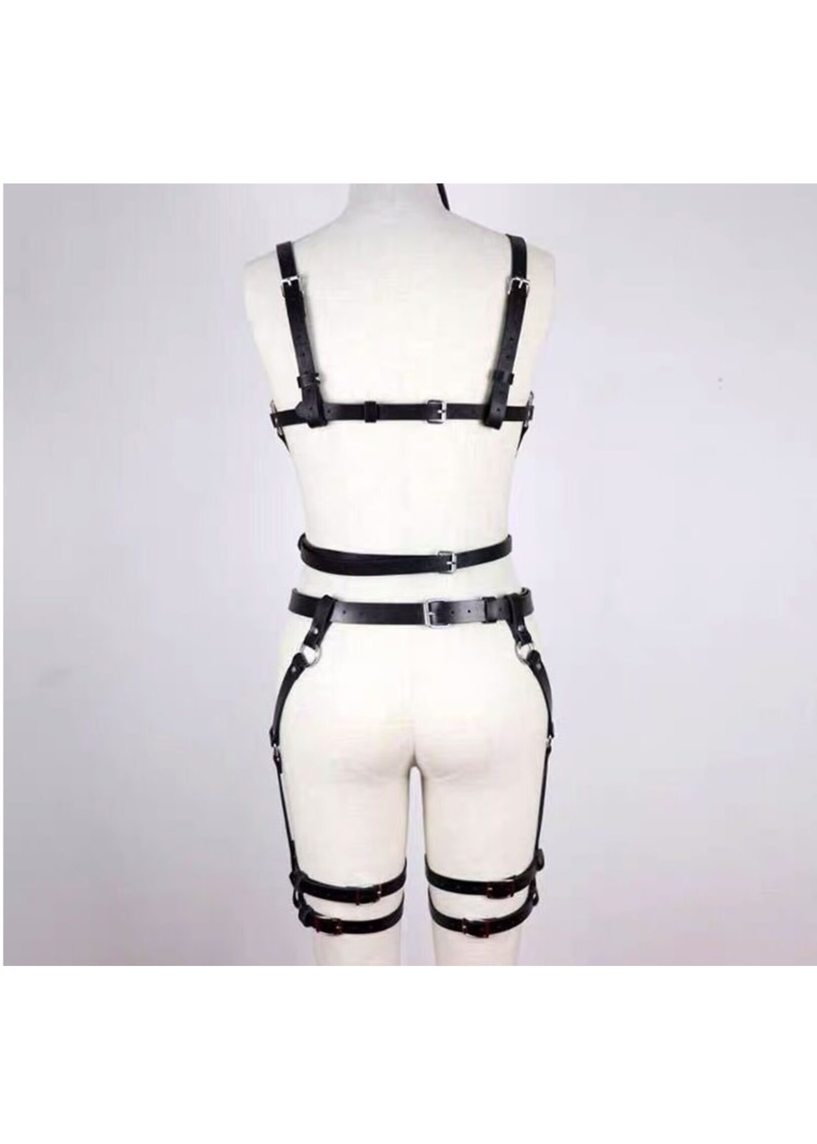 Smoosh Body Harness w\ Leg Straps