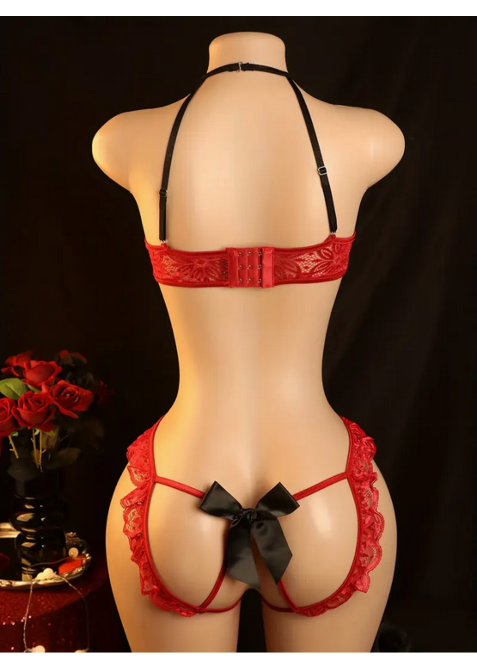 Scarlet Sin Lace Bodysuit